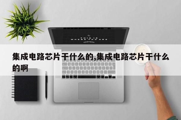 集成电路芯片干什么的,集成电路芯片干什么的啊