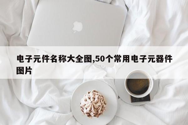 电子元件名称大全图,50个常用电子元器件图片